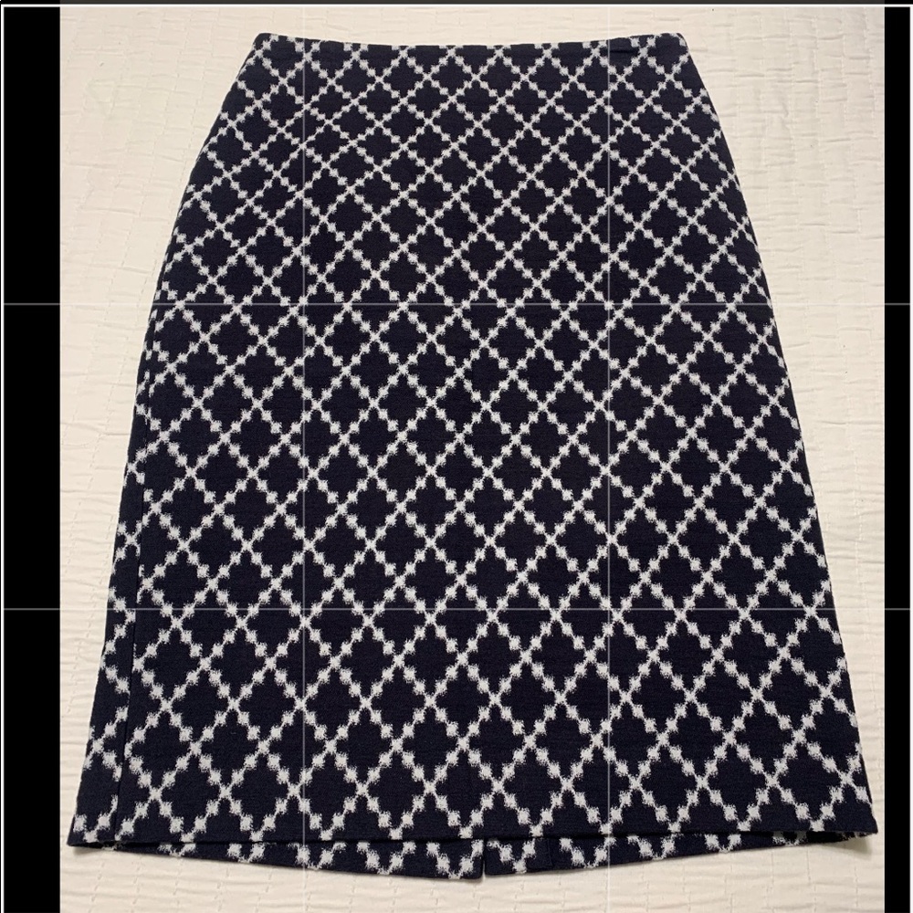 Ann Taylor Skirt